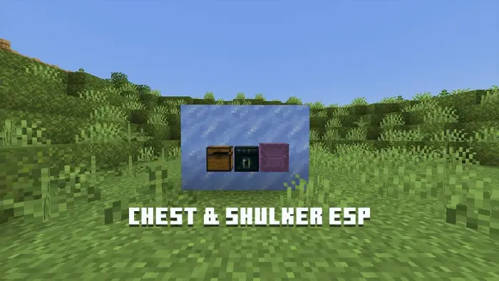 Chest, ender chest, and shulker on ice block