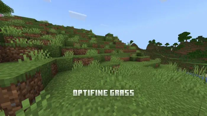 Lush hillside with Optifine grass style