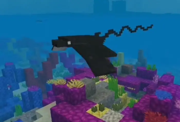 Blocky bat ray swimming over coral reef