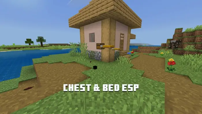 Chest and bed highlighted near a house