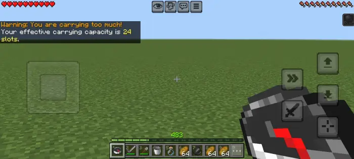 Inventory limit warning on grassy field