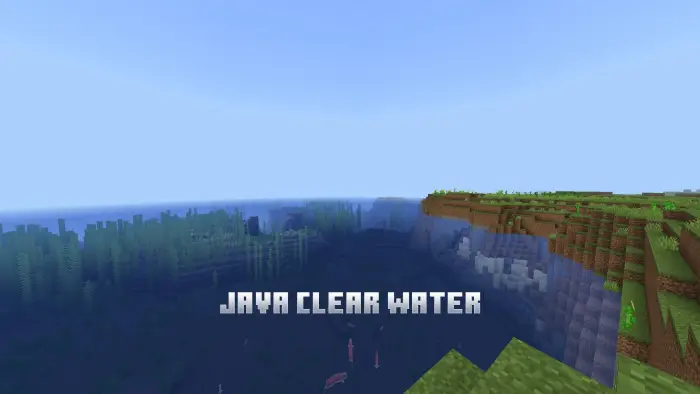 Crystal-clear water and vibrant underwater view