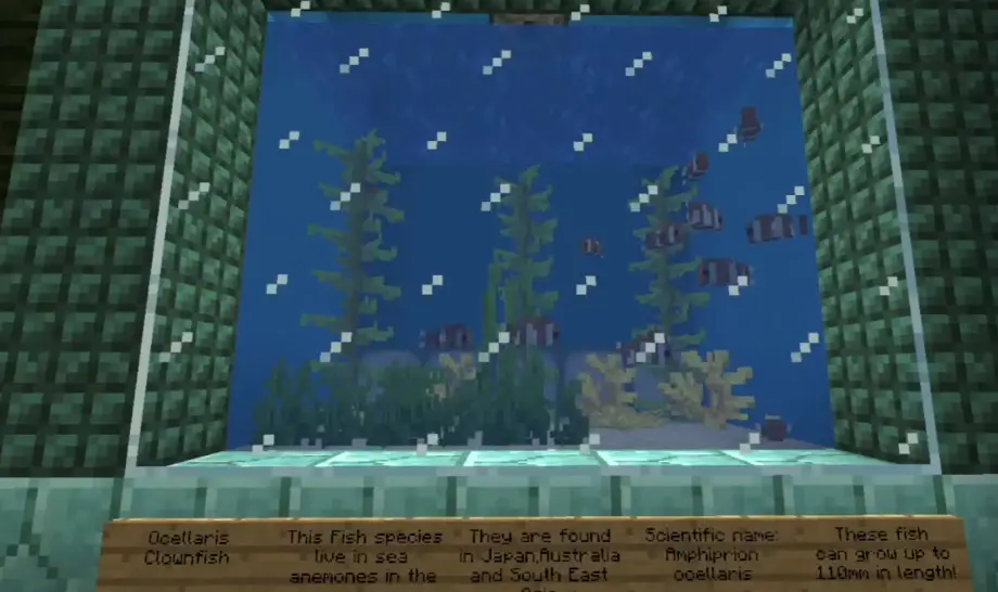 Thumbnail: Clownfish Add-on (TQM2026)