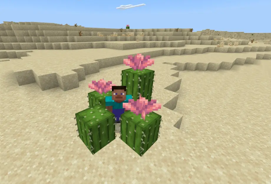 Thumbnail: Cacti Spawn Trap seed