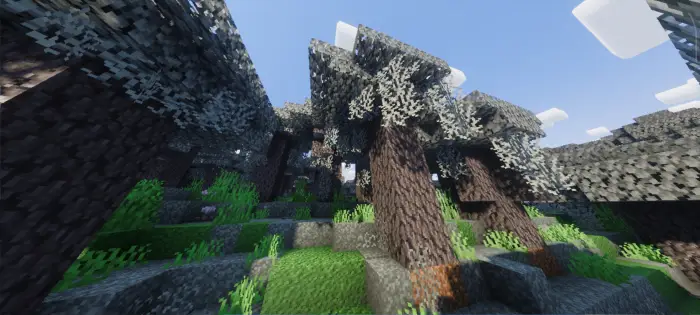 Sunlit forest with enhanced textures and lighting