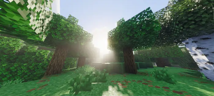 Sunlight filters through detailed blocky trees.