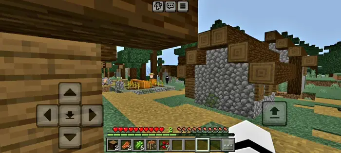 First-person view near village houses and trees