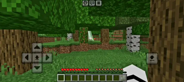 Player explores dense, eerie forest scene
