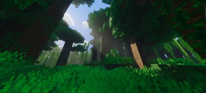 Sunlit forest with enhanced shader effects