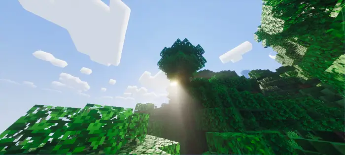 Sunbeams shine through lush, detailed leaves