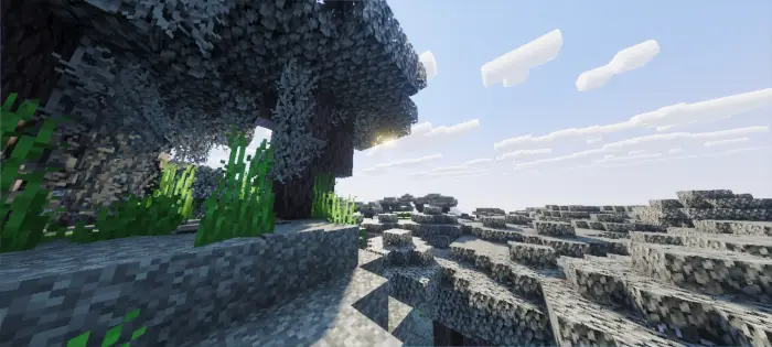 Sunlight filters through detailed blocky trees
