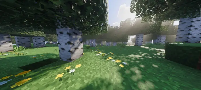 Sunlit birch forest with realistic lighting