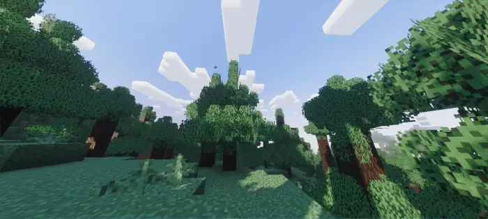 Sunlit forest with enhanced shader effects