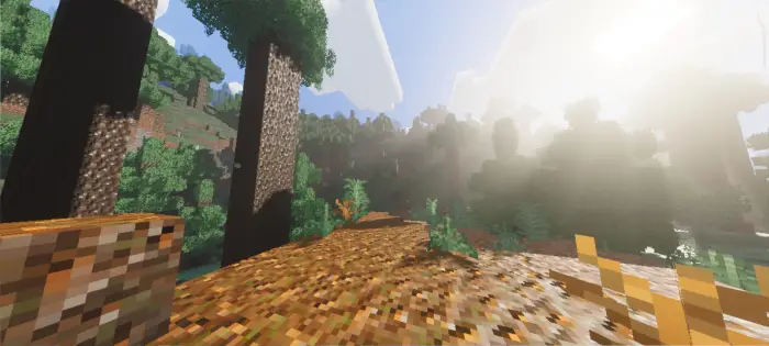 Sunlit forest path with realistic lighting