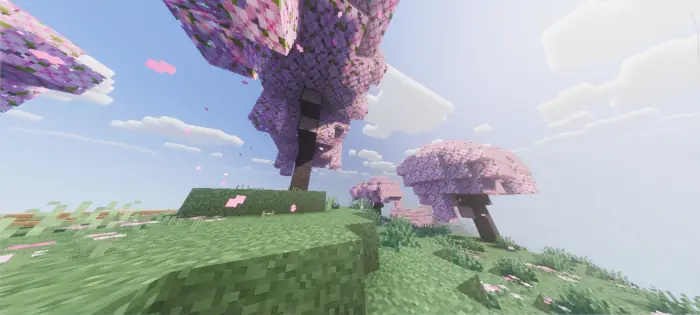 Pink blossom trees with enhanced lighting
