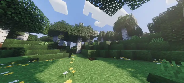 Sunlit forest with enhanced lighting effects
