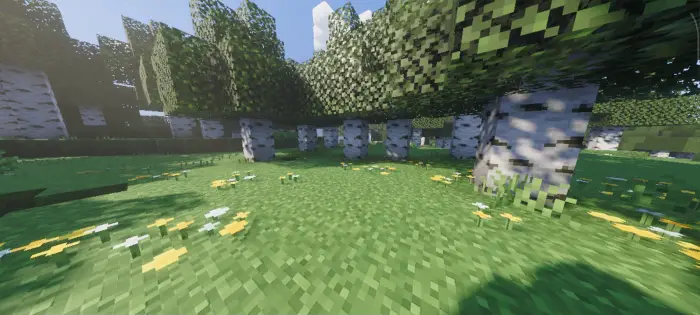 Sunlit birch forest with realistic lighting