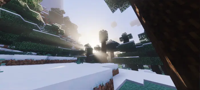 Snowy forest with enhanced sunlight rays