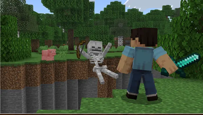 Player knocks skeleton into ravine edge