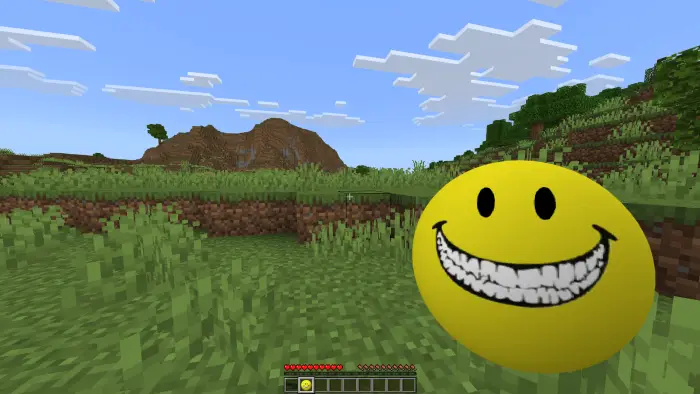 Yellow smiley face companion in grassy field
