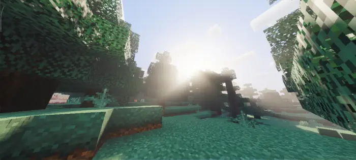 Sun rays shine through realistic forest trees