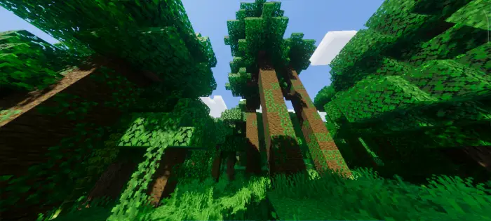 Lush forest with enhanced lighting effects