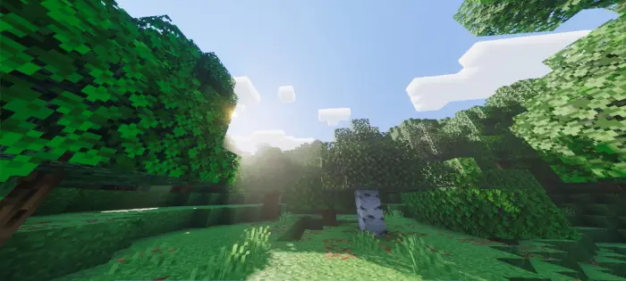 Sunlight filters through lush, detailed trees.