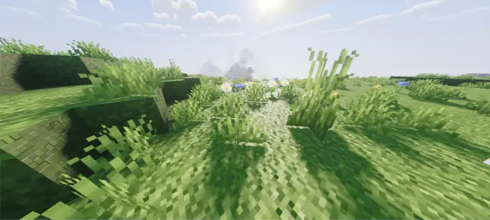 Realistic grass with enhanced lighting effects