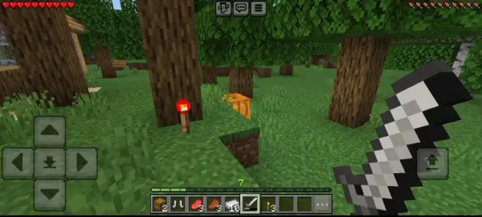 Player holding sword in a forest with torch