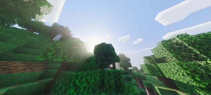 Sunlight filtering through lush blocky trees