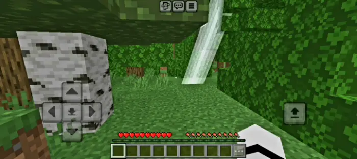 First-person view exploring a dense forest