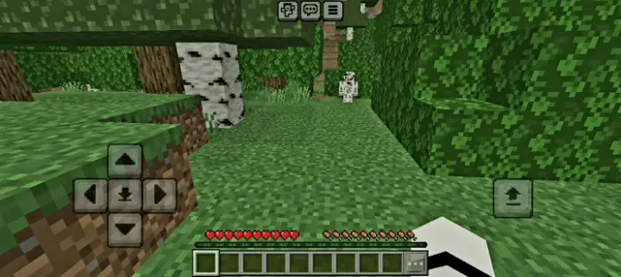 First-person view exploring a dense, leafy forest