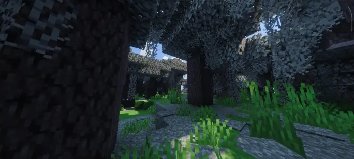 Realistic forest with enhanced lighting effects