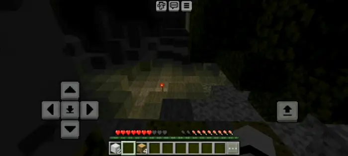 Dark forest with a single red torch