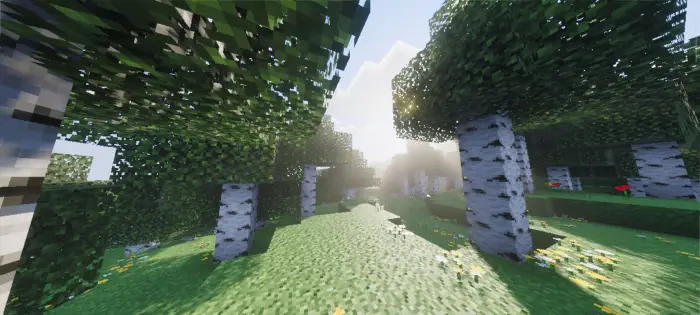 Sunlit birch forest with realistic lighting
