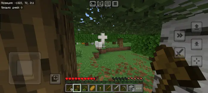Mysterious figure lurking behind trees