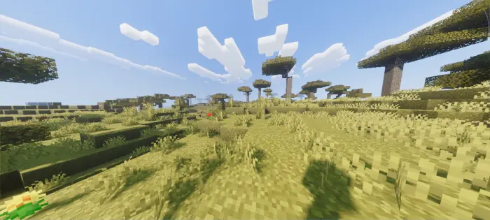 Savanna biome with enhanced lighting effects