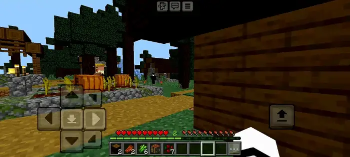 First-person view near a dark forest and village
