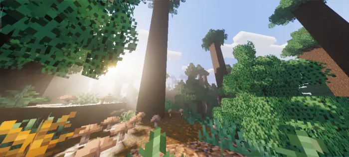 Sunlit forest with enhanced realistic lighting