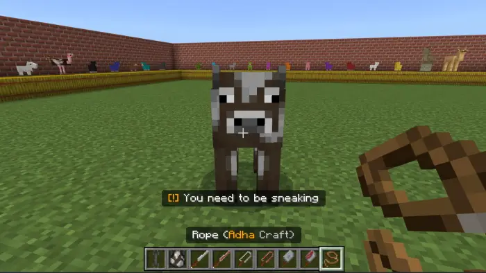 Player holding rope near a cow in a pen