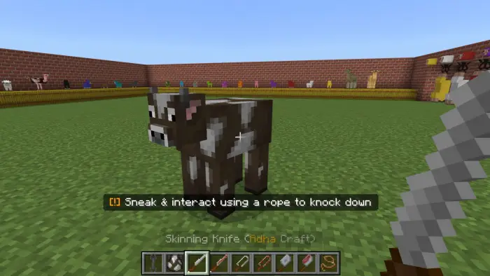 Player holding knife near cow in fenced yard