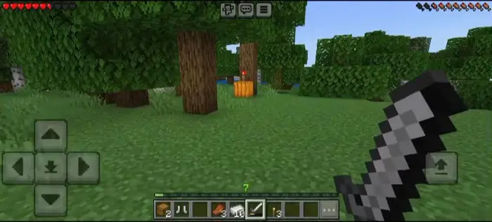 First-person view with sword in a forest.
