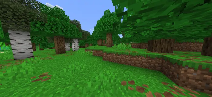 Vivid, stylized forest with lush greenery