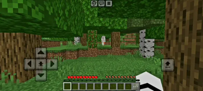 First-person view exploring a dense forest