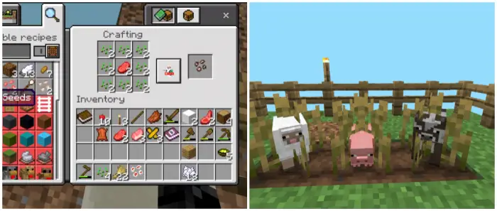 Left Crafting seeds and items in inventory Right Animals fenced in a small farm plot