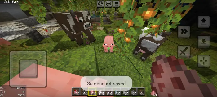 Baby pig and cows with new animations