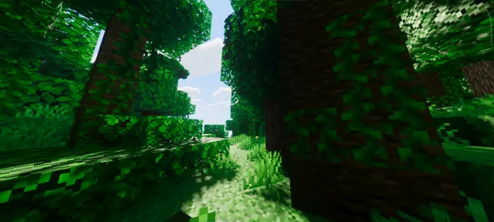 Sunlit forest with enhanced realistic textures