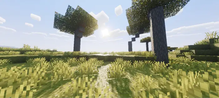 Sunlit grassy field with realistic shadows