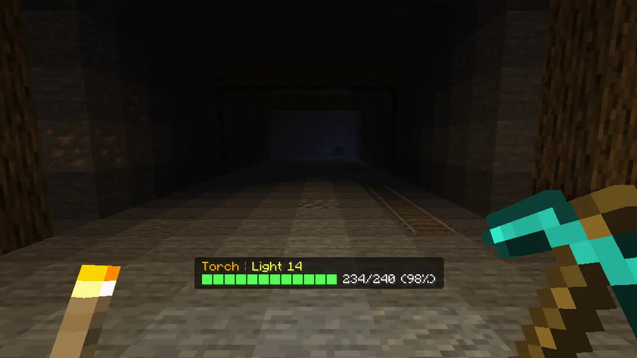 A torch in the offhand with the Standard text durability HUD