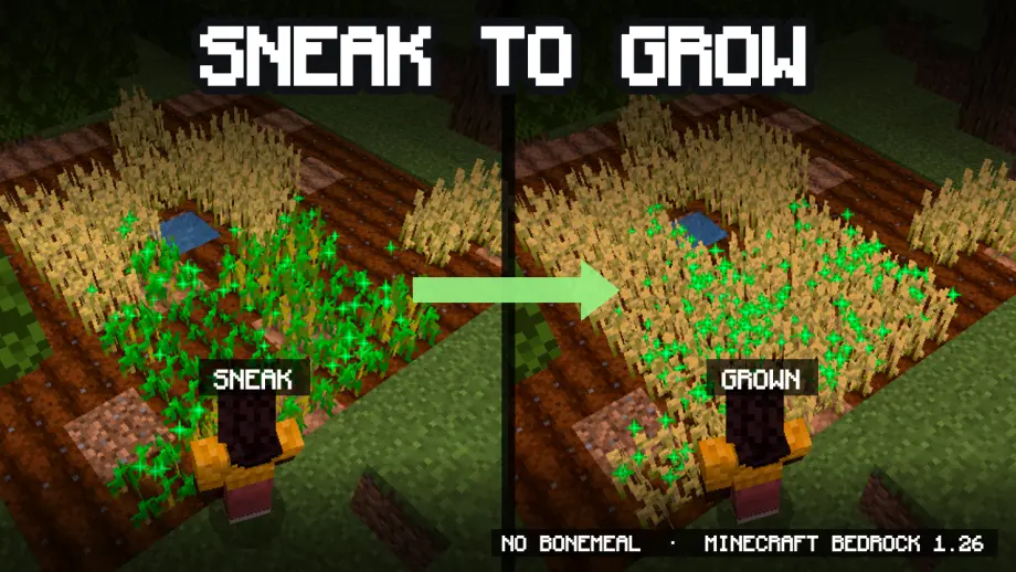 Thumbnail: Sneak to Grow | Fast Farming Addon